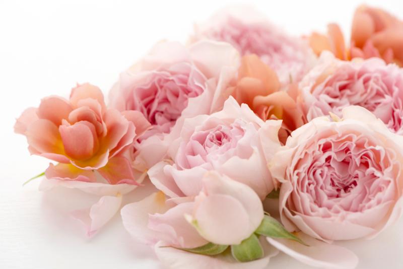 ピンクのスタンド花が選ばれる理由